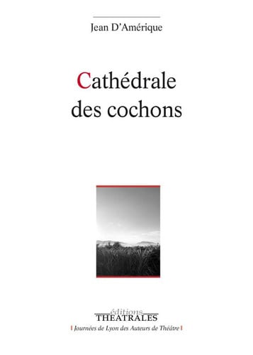 CATHEDRALE DES COCHONS, de D'AMERIQUE JEAN | portada del libro