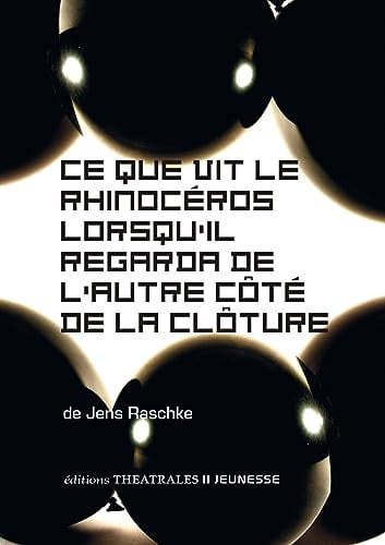 CE QUE VIT LE RHINOCEROS LORSQU IL REGARDA DE L AUTRE COTE D, de RASCHKE JENS | portada del libro