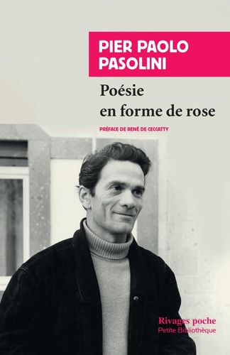 POESIE EN FORME DE ROSE, de Pier Paolo Pasolini | portada del libro
