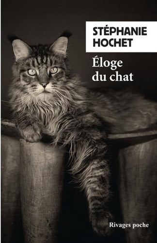 ELOGE DU CHAT, de Stéphanie Hochet | portada del libro