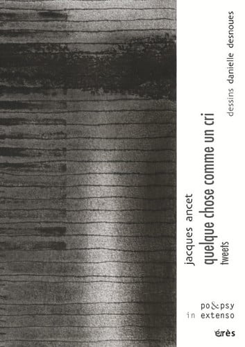 QUELQUE CHOSE COMME UN CRI, de ANCET JACQUES | portada del libro