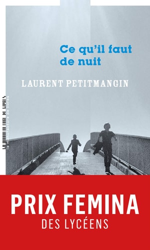 Ce qu'il faut de nuit, de Laurent Petitmangin | portada del libro