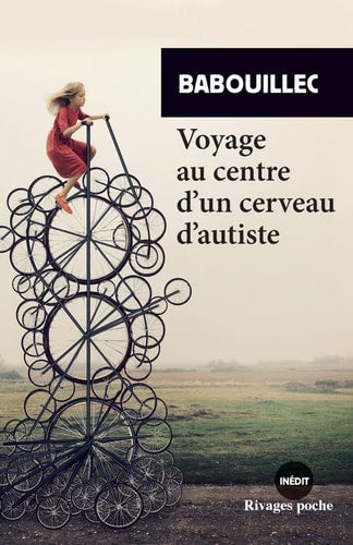 VOYAGE AU CENTRE DUN CERVEAU DAUTISTE, de Babouillec | portada del libro