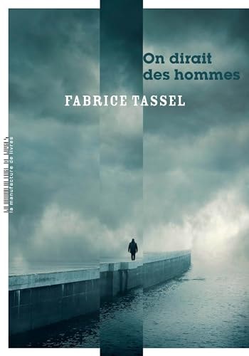 ON DIRAIT DES HOMMES, de Fabrice Tassel | portada del libro