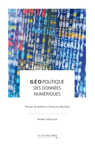 GEOPOLITIQUE DES DONNEES NUMERIQUES, de Amaël Cattaruzza | portada del libro
