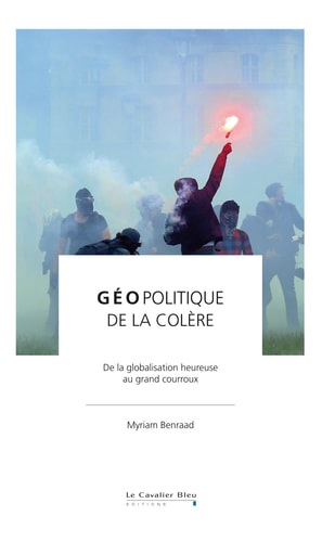 GEOPOLITIQUE DE LA COLERE, de Myriam Benraad | portada del libro