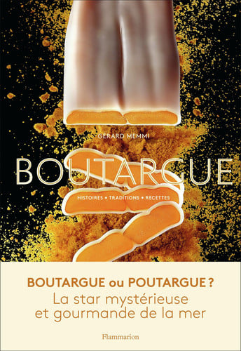 OUTARGUE, de MEMMI GERARD | portada del libro