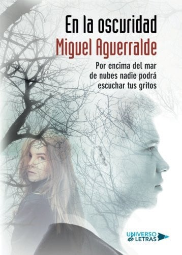 En la oscuridad, de Miguel Aguerralde | portada del libro