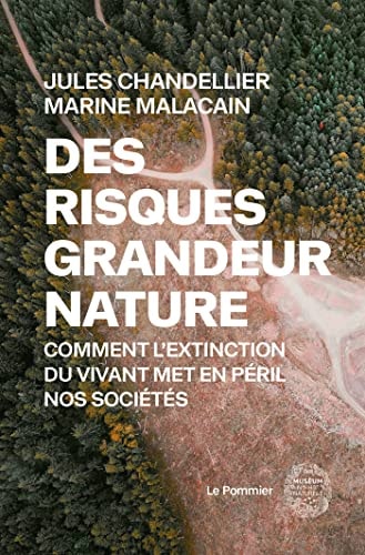 ES RISQUES GRANDEUR NATURE, de Marine Malacain | portada del libro