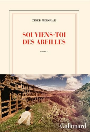 SOUVIENS TOI DES ABEILLES, de Zineb Mekouar | portada del libro