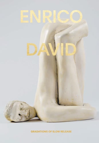 Enrico David - Gradations of Slow Release (Octubre 2018), de DARLING | portada del libro