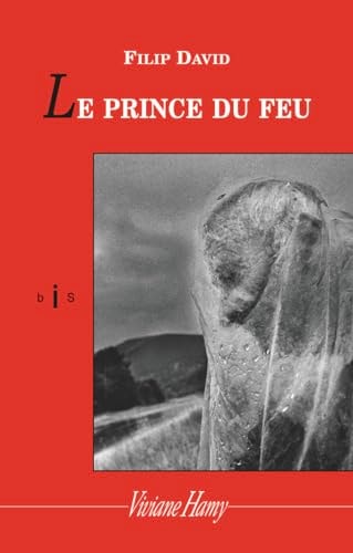 RINCE DU FEU, de Filip David | portada del libro