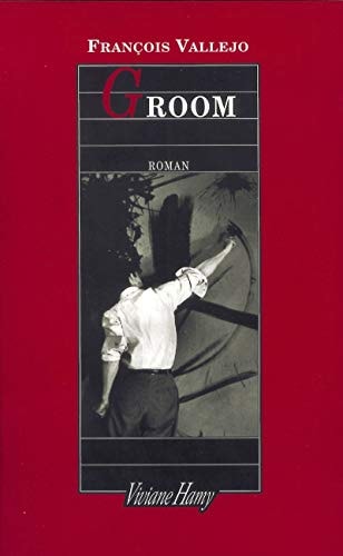 ROOM, de François Vallejo | portada del libro