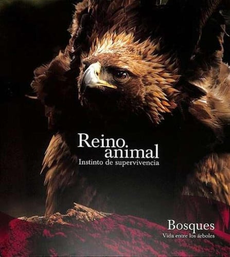 BOSQUES SE, de AA.EE | portada del libro