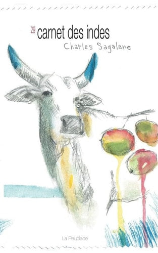 29 CARNET DES INDES, de Charles Sagalane | portada del libro