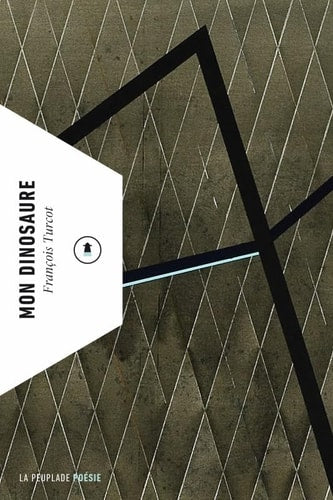 MON DINOSAURE, de François Turcot | portada del libro