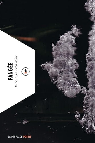 PANGEE, de Isabelle Gaudet-Labine | portada del libro
