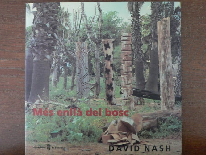 David Nash, més enllà del bosc, de NASH | portada del libro