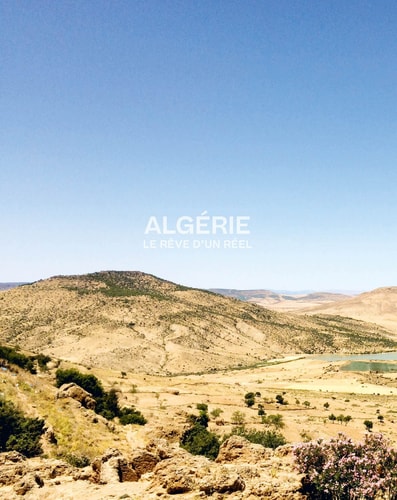 ALGERIE LE REVE D'UN REEL, de Abdelkader Damani | portada del libro