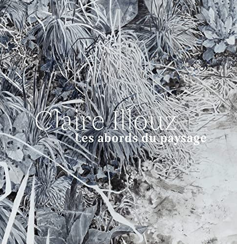 CLAIRE ILLOUZ LES ABORDS DU PAYSAGE, de Caroline Oliveira | portada del libro