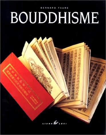 BOUDDHISME RELIE, de Bernard Faure | portada del libro