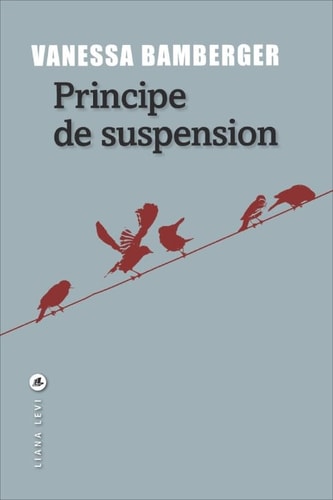 PRINCIPE DE SUSPENSION, de Vanessa Bamberger | portada del libro