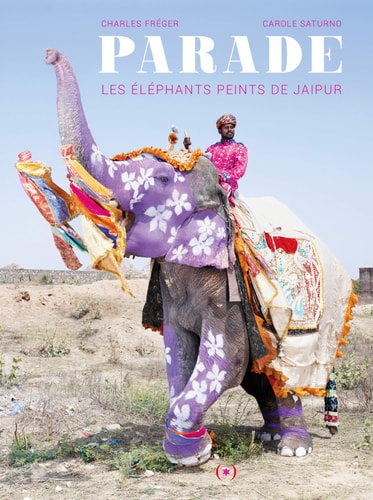 PARADE LES ELEPHANTS PEINTS DE JAIPUR, de Carole Saturno | portada del libro