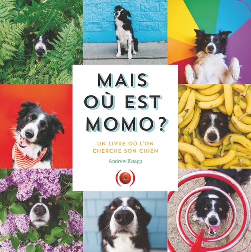 MAIS OU EST MOMO ?, de Andrew Knapp | portada del libro