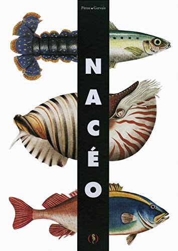 NACEO, de Francesco Pittau | portada del libro