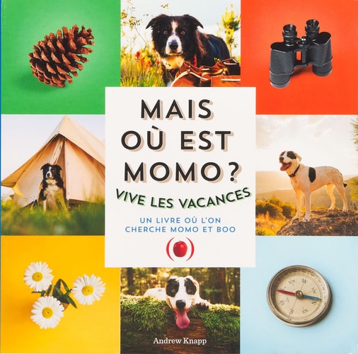 MAIS OU EST MOMO ? VIVE LES VACANCES, de Andrew Knapp | portada del libro