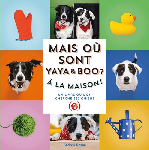 MAIS OU SONT BOO ET YAYA ?, de Andrew Knapp | portada del libro