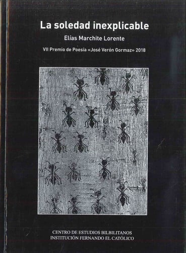 La soledad inexplicable, de Marchite Lorente | portada del libro