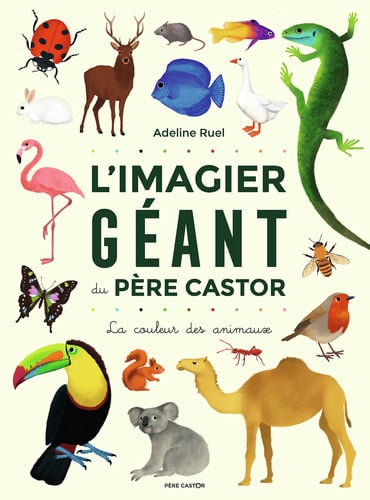 MAGIER GEANT DU PERE CASTOR, de RUEL ADELINE | portada del libro