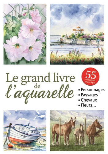 GRAND LIVRE DE L'AQUARELLE LE, de BOYKO NATALY | portada del libro