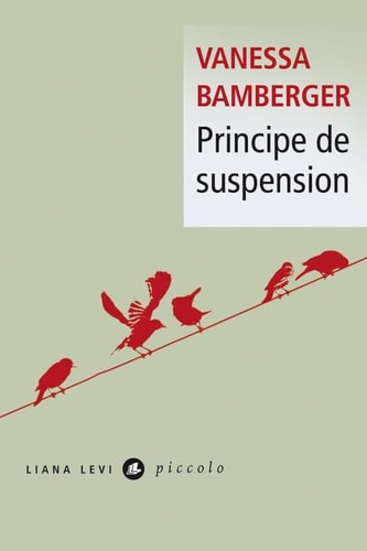 PRINCIPE DE SUSPENSION, de Vanessa Bamberger | portada del libro
