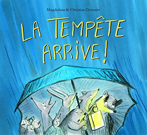 A TEMPETE ARRIVE !, de Magdalena | portada del libro