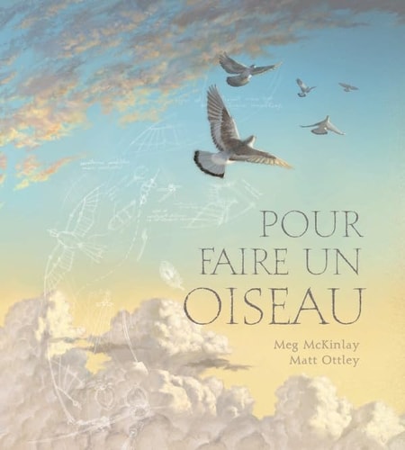OUR FAIRE UN OISEAU, de Megan McKinlay | portada del libro