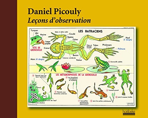 LECONS D'OBSERVATION, de Daniel Picouly | portada del libro