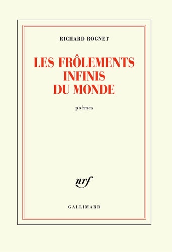 LES FROLEMENTS INFINIS DU MONDE, de Richard Rognet | portada del libro