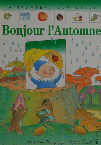 BONJOUR L'AUTOMNE, de Pascale de Bourgoing | portada del libro