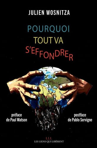 POURQUOI TOUT VA SEFFONDRER, de JULIEN WOSNITZA | portada del libro