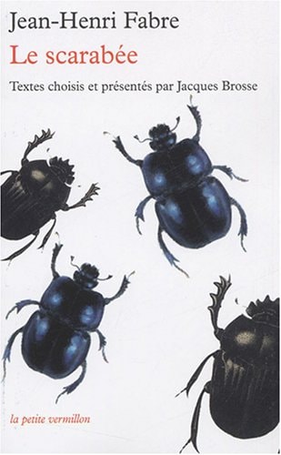 LE SCARABEE, de Jean-Henri-Casimir Fabre | portada del libro