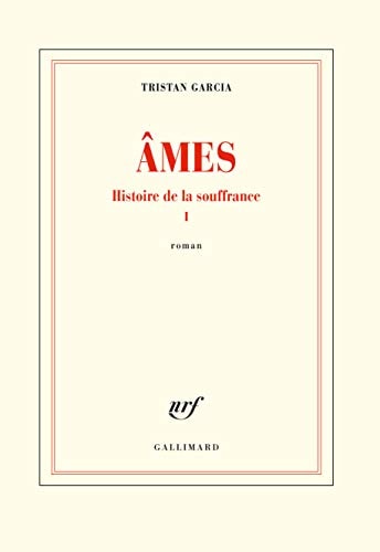 HISTOIRE DE LA SOUFFRANCE, de Tristan Garcia | portada del libro