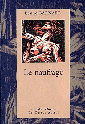 LE NAUFRAGE, de Benno Barnard | portada del libro