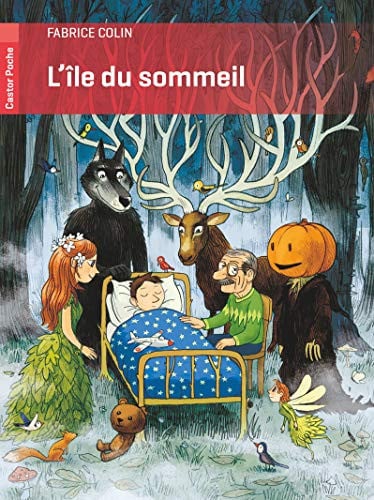 'ILE DU SOMMEIL, de COLIN FABRICE | portada del libro