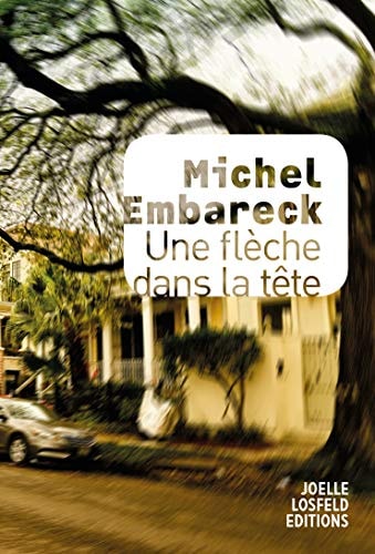 UNE FLECHE DANS LA TETE, de Michel Embareck | portada del libro