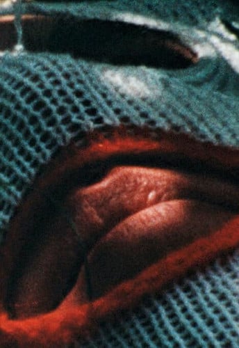 BARBARA DANS LES BOIS, de CLEMENT#MASSA | portada del libro
