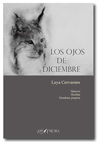 Los ojos de diciembre, de MORENO RODRÍGUEZ-ISLA | portada del libro