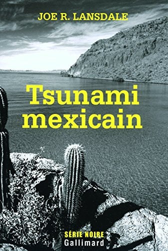 TSUNAMI MEXICAIN, de Joe R. Lansdale | portada del libro