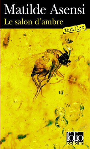SALON D AMBRE, de Matilde Asensi | portada del libro